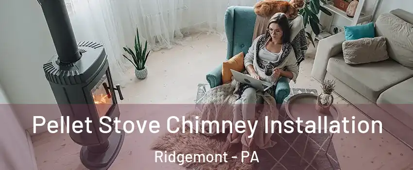 Pellet Stove Chimney Installation Ridgemont - PA
