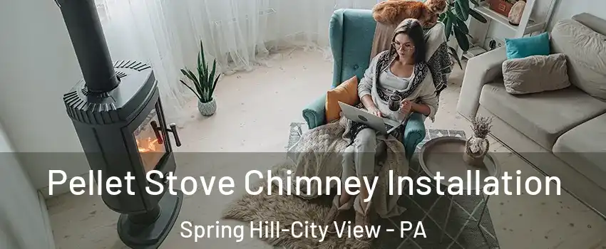 Pellet Stove Chimney Installation Spring Hill-City View - PA