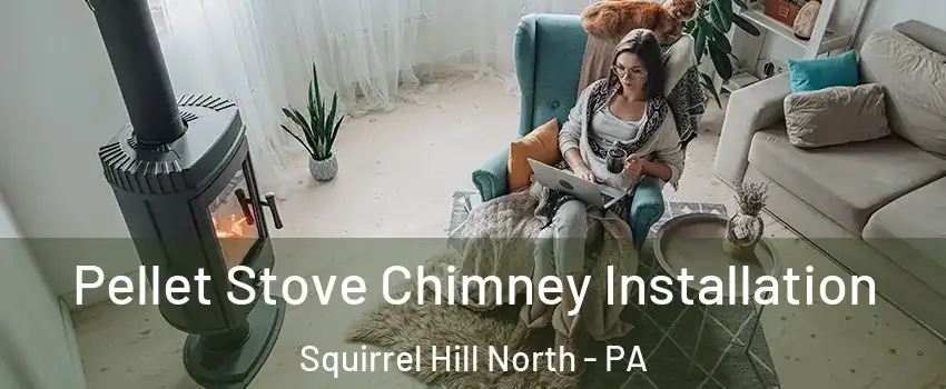 Pellet Stove Chimney Installation Squirrel Hill North - PA