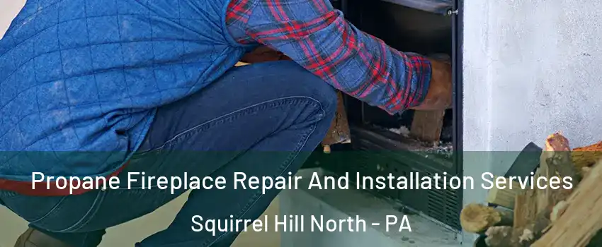 Propane Fireplace Repair And Installation Services Squirrel Hill North - PA