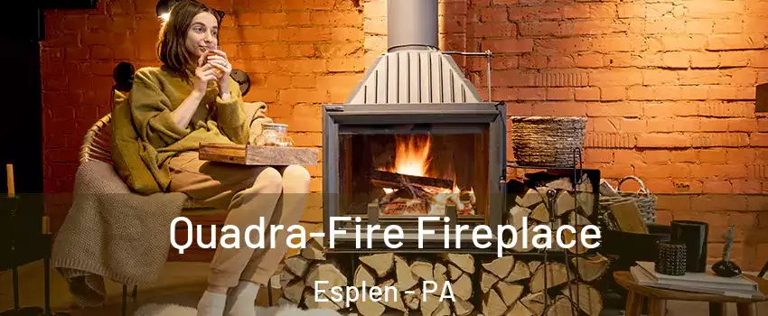 Quadra-Fire Fireplace Esplen - PA