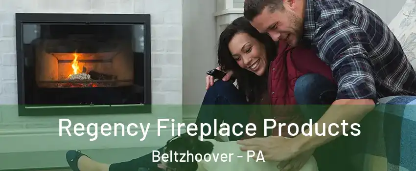 Regency Fireplace Products Beltzhoover - PA