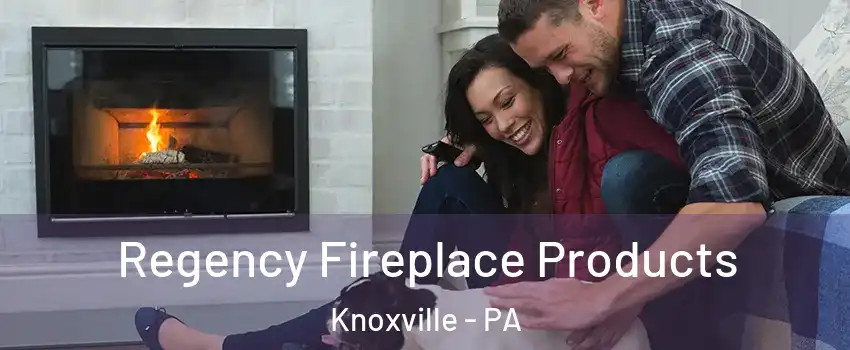 Regency Fireplace Products Knoxville - PA