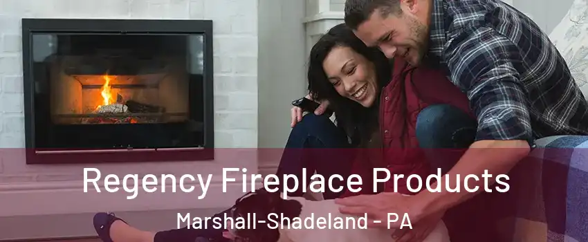 Regency Fireplace Products Marshall-Shadeland - PA