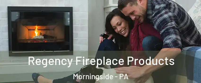 Regency Fireplace Products Morningside - PA