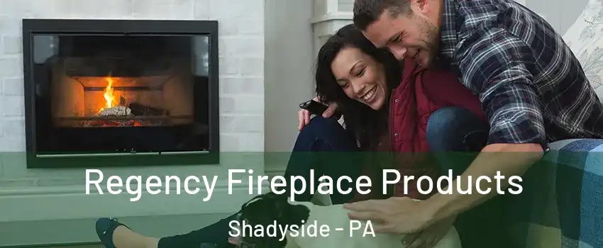 Regency Fireplace Products Shadyside - PA