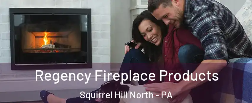 Regency Fireplace Products Squirrel Hill North - PA