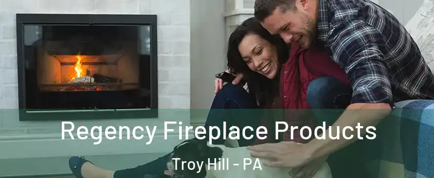 Regency Fireplace Products Troy Hill - PA