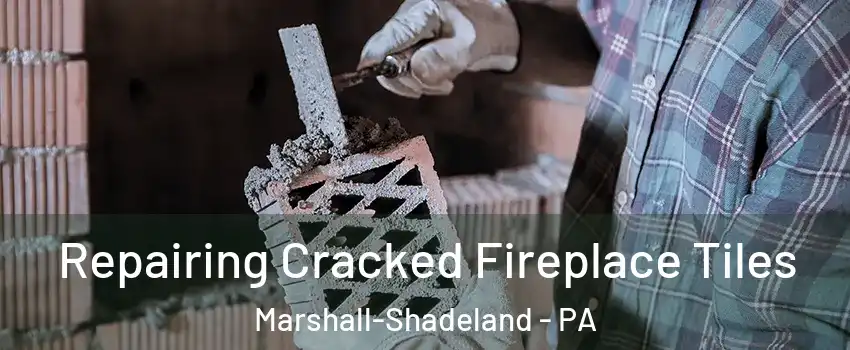 Repairing Cracked Fireplace Tiles Marshall-Shadeland - PA