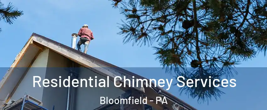 Residential Chimney Services Bloomfield - PA