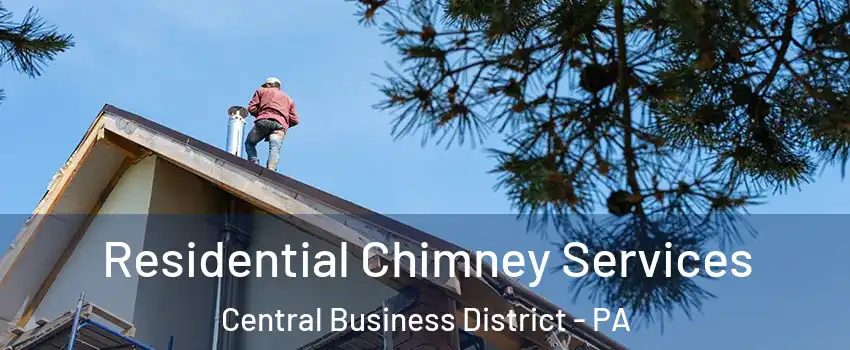 Residential Chimney Services Central Business District - PA