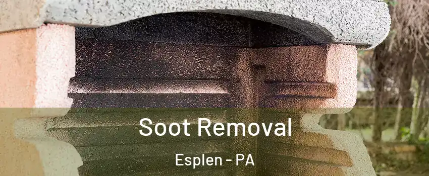 Soot Removal Esplen - PA