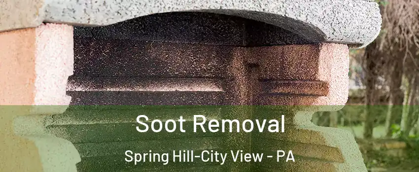 Soot Removal Spring Hill-City View - PA