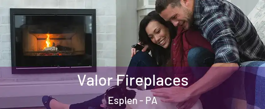 Valor Fireplaces Esplen - PA