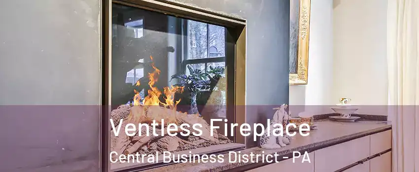 Ventless Fireplace Central Business District - PA