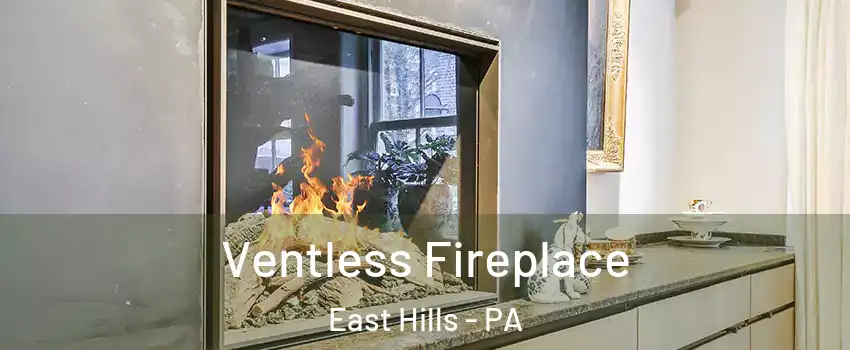 Ventless Fireplace East Hills - PA
