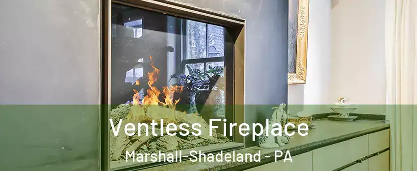 Ventless Fireplace Marshall-Shadeland - PA