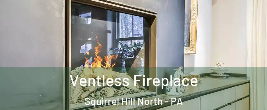 Ventless Fireplace Squirrel Hill North - PA