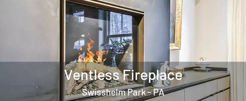 Ventless Fireplace Swisshelm Park - PA