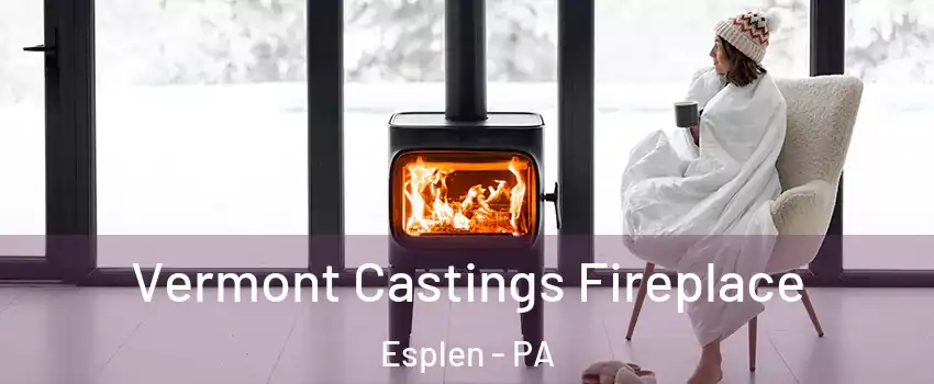Vermont Castings Fireplace Esplen - PA