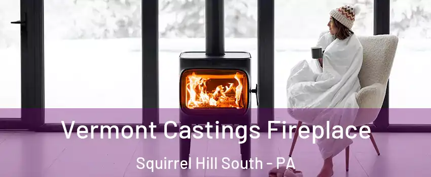 Vermont Castings Fireplace Squirrel Hill South - PA