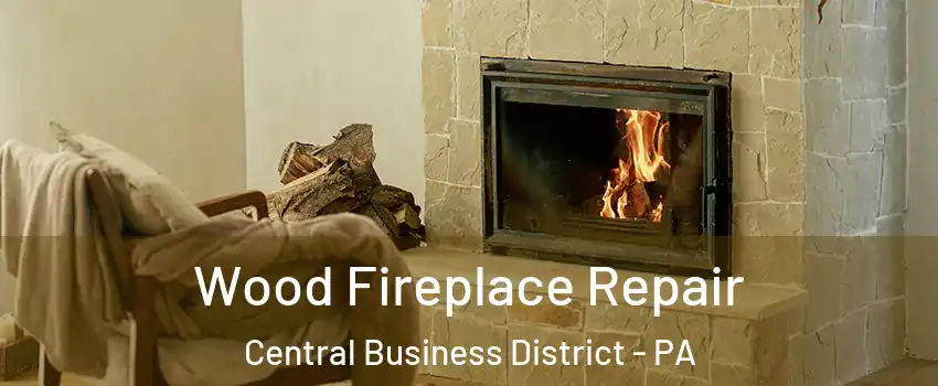 Wood Fireplace Repair Central Business District - PA