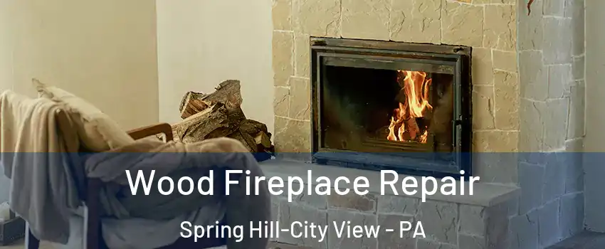 Wood Fireplace Repair Spring Hill-City View - PA