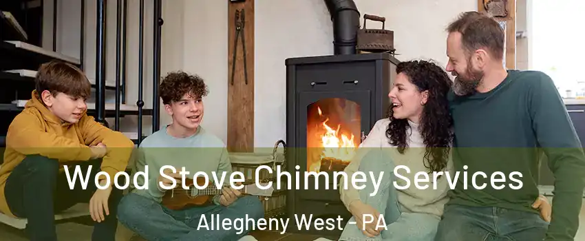 Wood Stove Chimney Services Allegheny West - PA