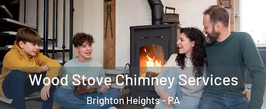 Wood Stove Chimney Services Brighton Heights - PA