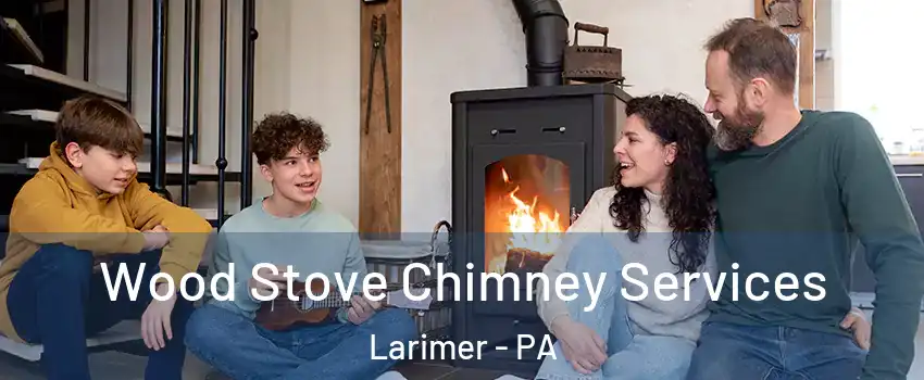 Wood Stove Chimney Services Larimer - PA