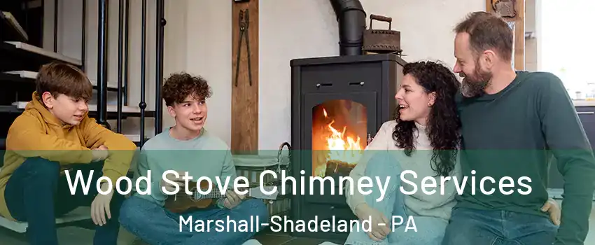 Wood Stove Chimney Services Marshall-Shadeland - PA