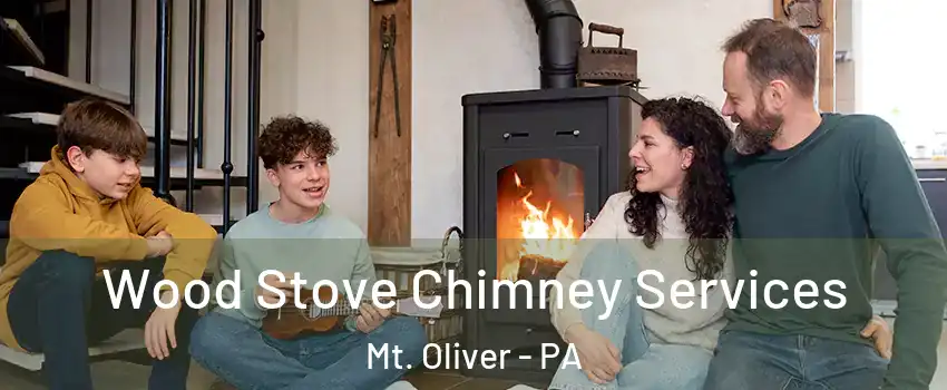 Wood Stove Chimney Services Mt. Oliver - PA