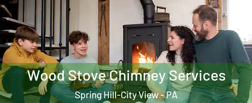 Wood Stove Chimney Services Spring Hill-City View - PA