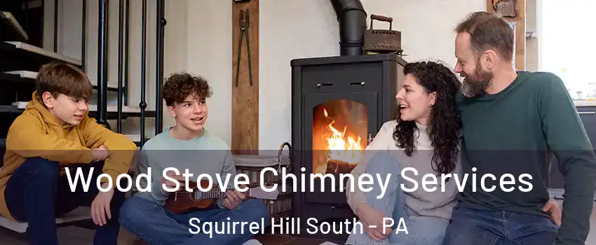 Wood Stove Chimney Services Squirrel Hill South - PA