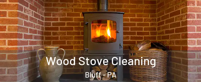 Wood Stove Cleaning Bluff - PA