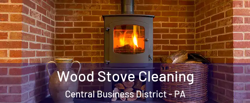 Wood Stove Cleaning Central Business District - PA
