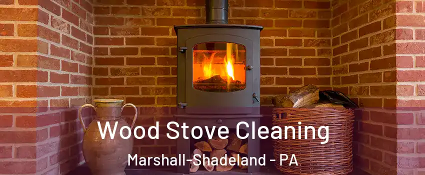Wood Stove Cleaning Marshall-Shadeland - PA