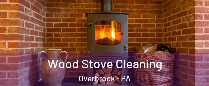 Wood Stove Cleaning Overbrook - PA
