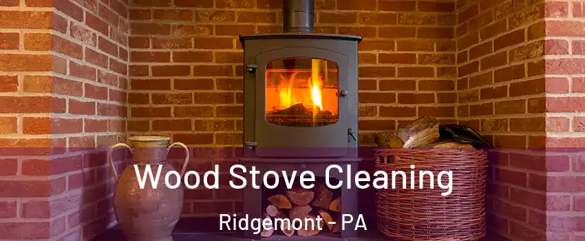 Wood Stove Cleaning Ridgemont - PA