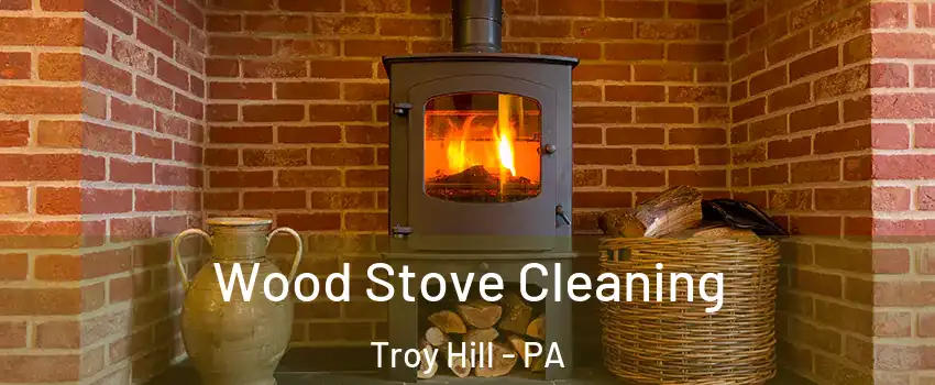 Wood Stove Cleaning Troy Hill - PA