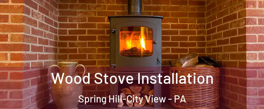 Wood Stove Installation Spring Hill-City View - PA