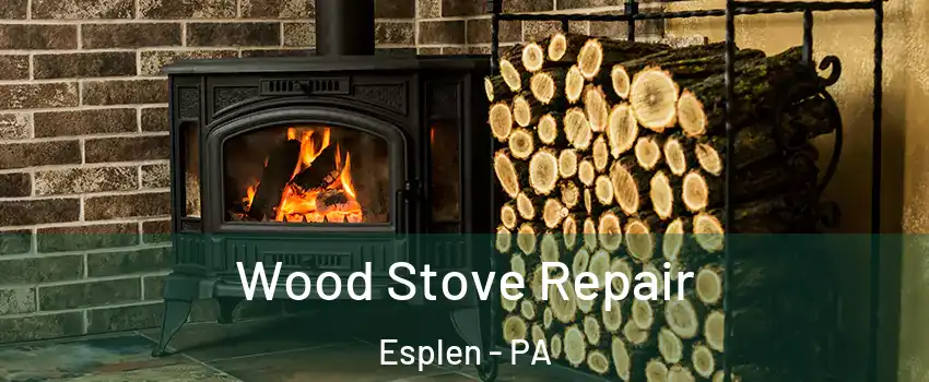 Wood Stove Repair Esplen - PA